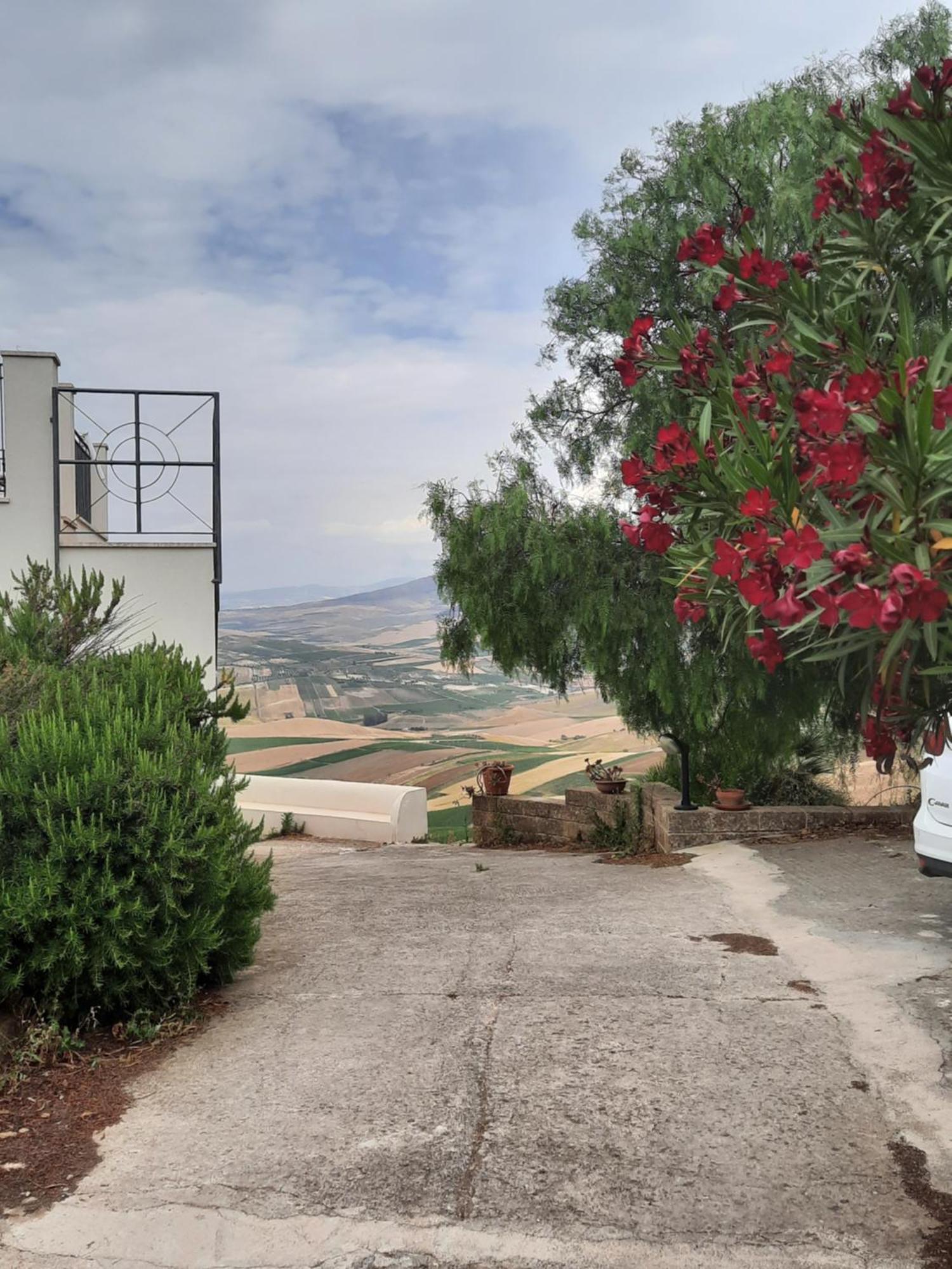 Santa Margherita di Belice Belvedere מראה חיצוני תמונה